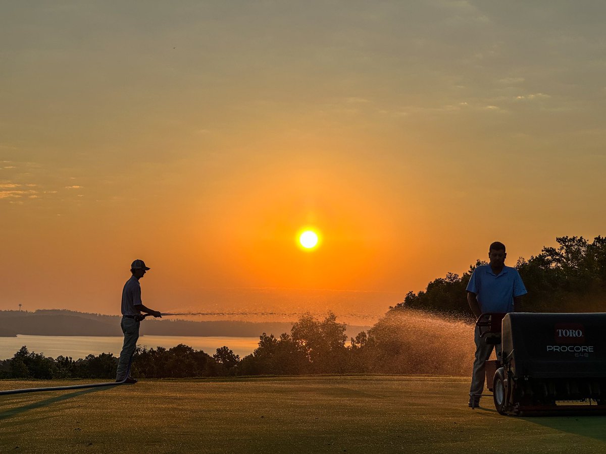 Koji Mitchell tweet media