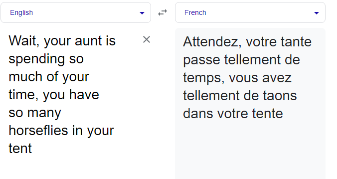 Offenderess's tweet photo. @HumansNoContext So dumb... Writing nonsense in french to have something in english lol. Here is the actual translation: https://t.co/iW7ys5Vd7S