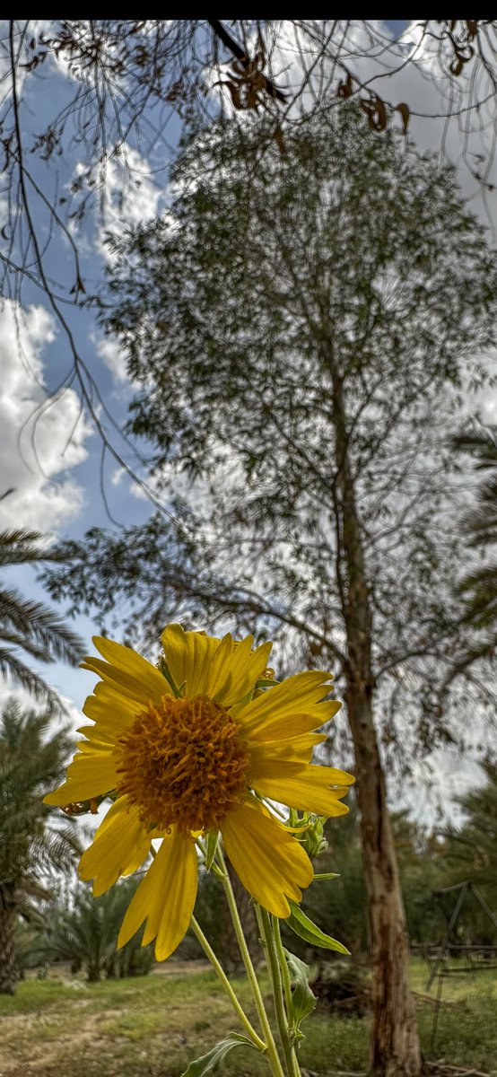 #تصويري   سبحان الله وبحمده سبحان الله العظيم