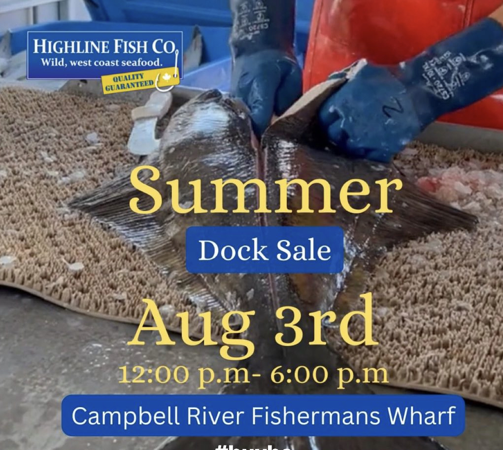 🚨DOCK SALE ALERT! Hey, #CampbellRiver! Highline Fish Co will be at the Campbell River Fisherman's Wharf on August 3rd with #WildPacificHalibut direct from the fisherman! 

$13/lb for fresh, whole Wild Pacific halibut. 

Lingcod and Red Snapper are also available. 

#BuyBC