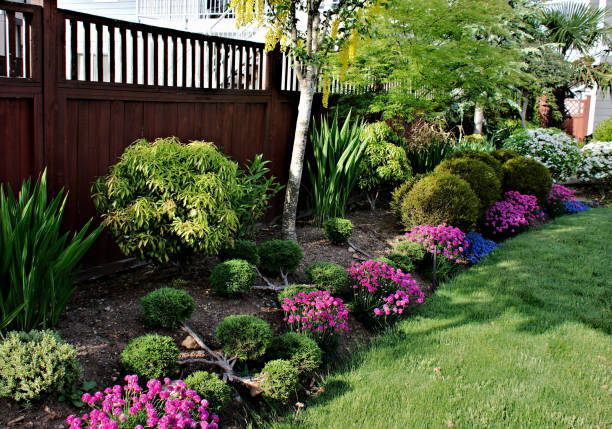 Want to create a beautiful and inviting outdoor space for your home or business? Let Parker Lawn Care help you with our expert landscaping services. From design to installation, we'll work with you to create a space you'll love. Contact us today to schedule a consultation.