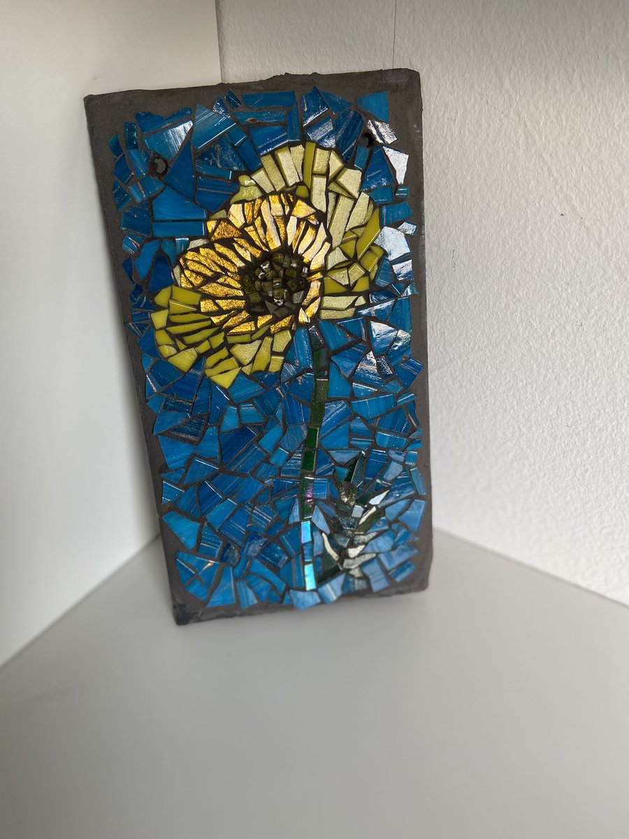 t7nky's tweet photo. School holidays. A chance to relax and then do my Sendco things at my own pace. Allotment, reading and mosaics so far as well as family time. https://t.co/xDNlNg5KiU