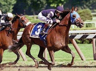 HORSERACING1002's tweet photo. LIDO PALACE 🇨🇱1997 (RICH MARYS GOLD-SONADA BY QUICK DECISION)
#LidoPalace https://t.co/RG8Mx3kKun
