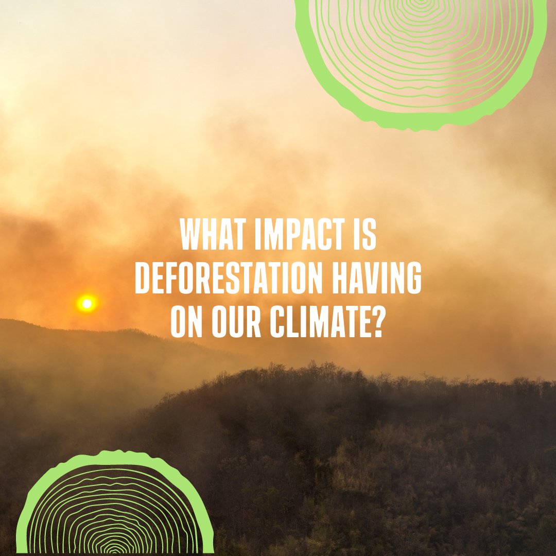 WWF_Australia's tweet photo. Do you know why we need to save trees in Australia??
Itβs a complex area that impacts all Australians.
Find out more: https://t.co/bbzqmAsBmo
#Weallneedtrees #deforestation #logging #conservation #sustainability #Australia #environment https://t.co/h44cwPoCEp