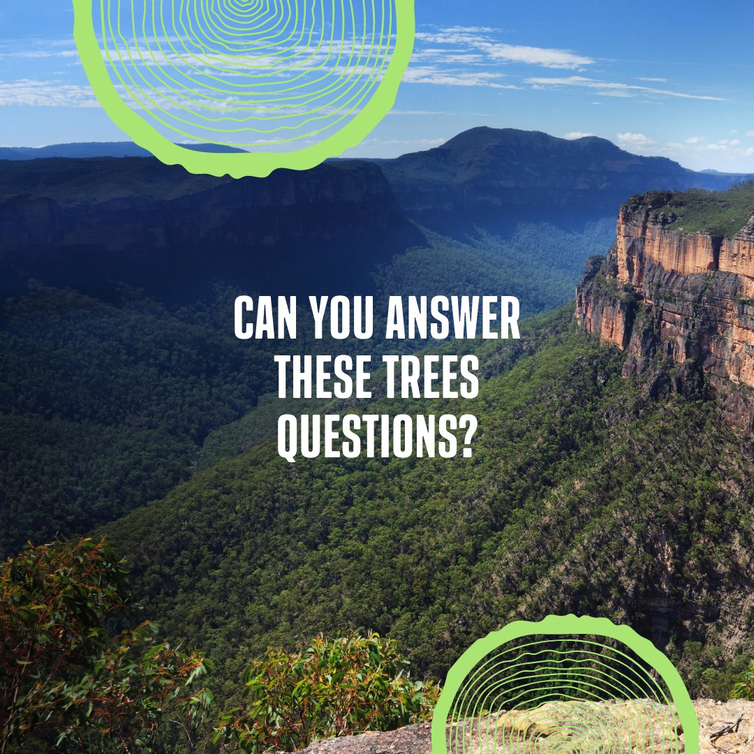 WWF_Australia's tweet photo. Do you know why we need to save trees in Australia??
Itβs a complex area that impacts all Australians.
Find out more: https://t.co/bbzqmAsBmo
#Weallneedtrees #deforestation #logging #conservation #sustainability #Australia #environment https://t.co/h44cwPoCEp