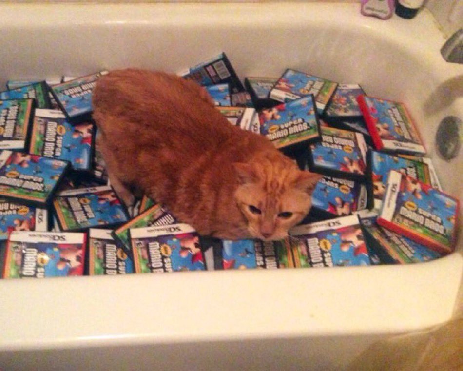 AC_Roald's tweet photo. bath time https://t.co/K26ZVB45qY