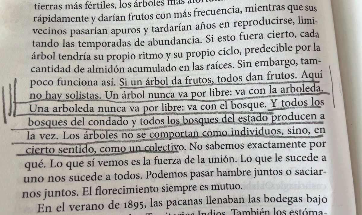 Así nos dijeron las Zapatistas en el encuentro de mujeres que luchan: “somos bosque”