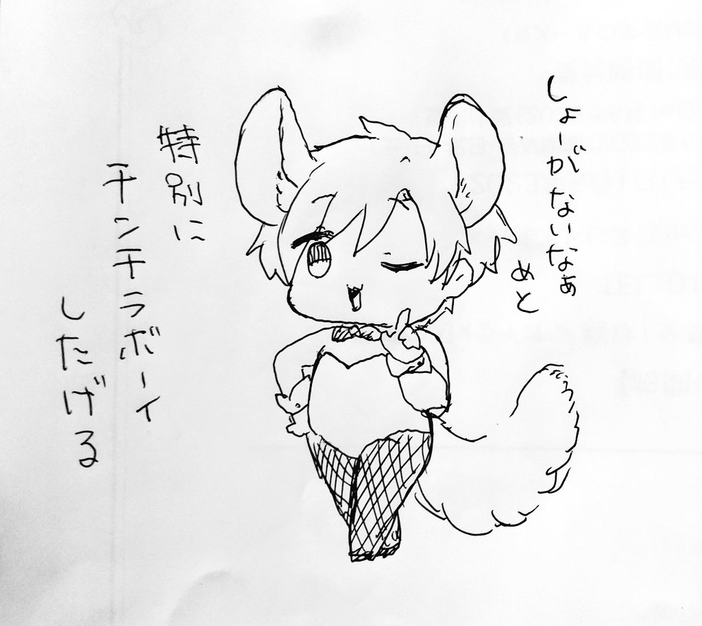 チンチラボーイ 