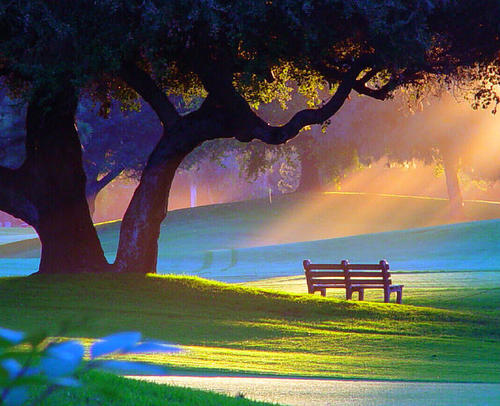 robinripley's tweet photo. Summer Morning, Alpine Park, Rockford, Illinois #SummerMorning #AlpinePark #Rockford #Illinois https://t.co/4aUGN1yTHC https://t.co/0BxE5n3csV