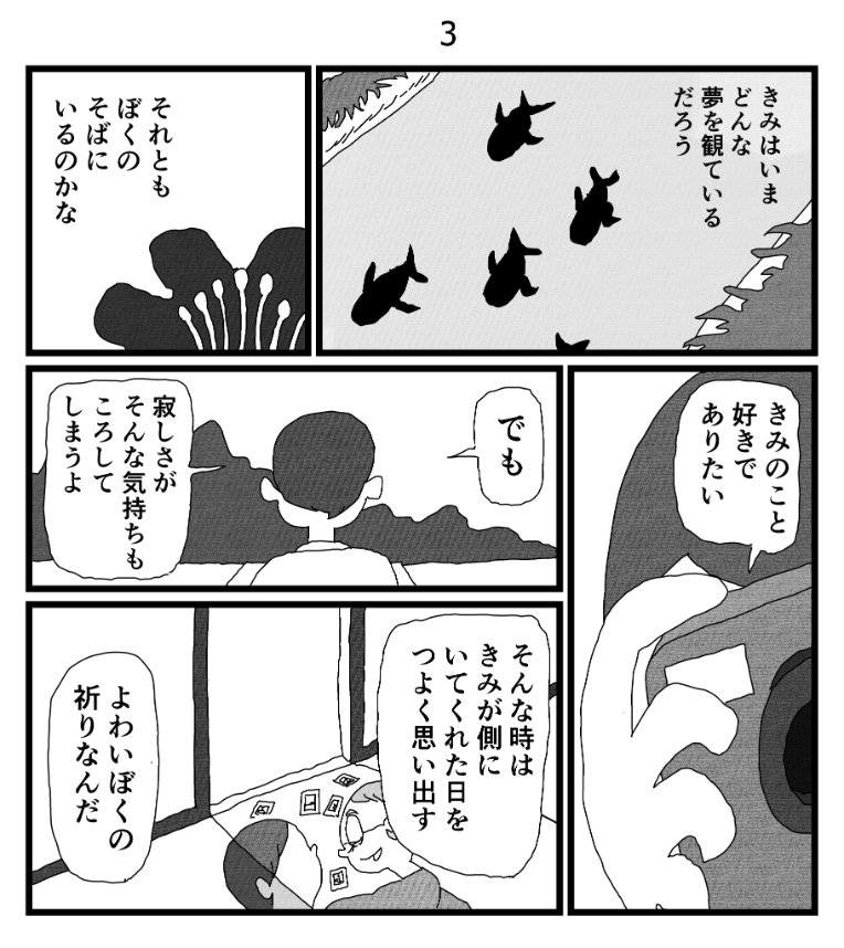 夏の間だけ写真を撮るひと 