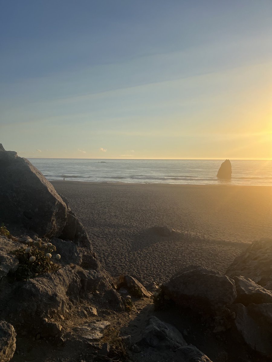 Paul Swanwick tweet media