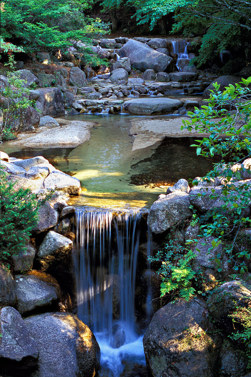 robinripley's tweet photo. Waterfall Stream, Miyajima, Japan #WaterfallStream #Miyajima #Japan https://t.co/ZgiXQw2V8B https://t.co/XaEIoix9kN