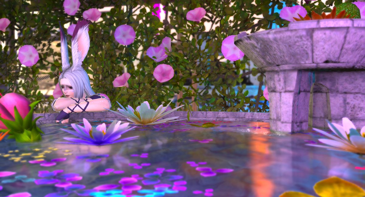 writer1311's tweet photo. #seasonoflore day 2: gridania | [flowers]
A double edged sword.  A familiar sense of comfort. A reminder of a home she can never return to.

#GPOSERS | #Viera | #JupiPoses https://t.co/zT9SsgdxwN