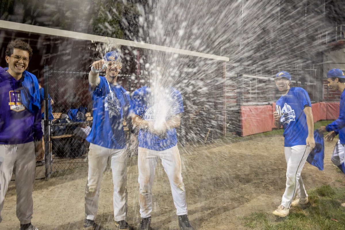 Maddogs Baseball tweet media
