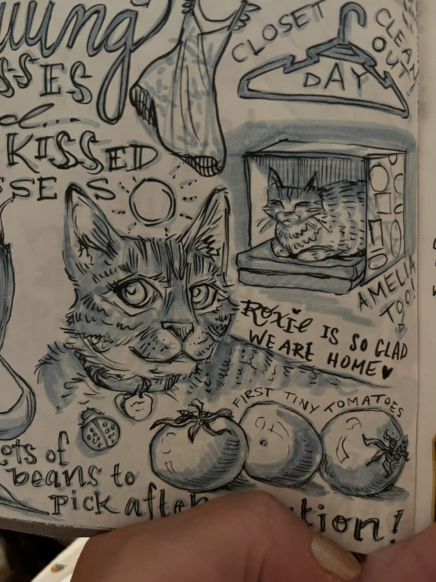 CandaceCamling's tweet photo. @BrianLaRossa Some recent cat sketches! More work at https://t.co/1VeCeeD6AY https://t.co/EVNjDCFwp0