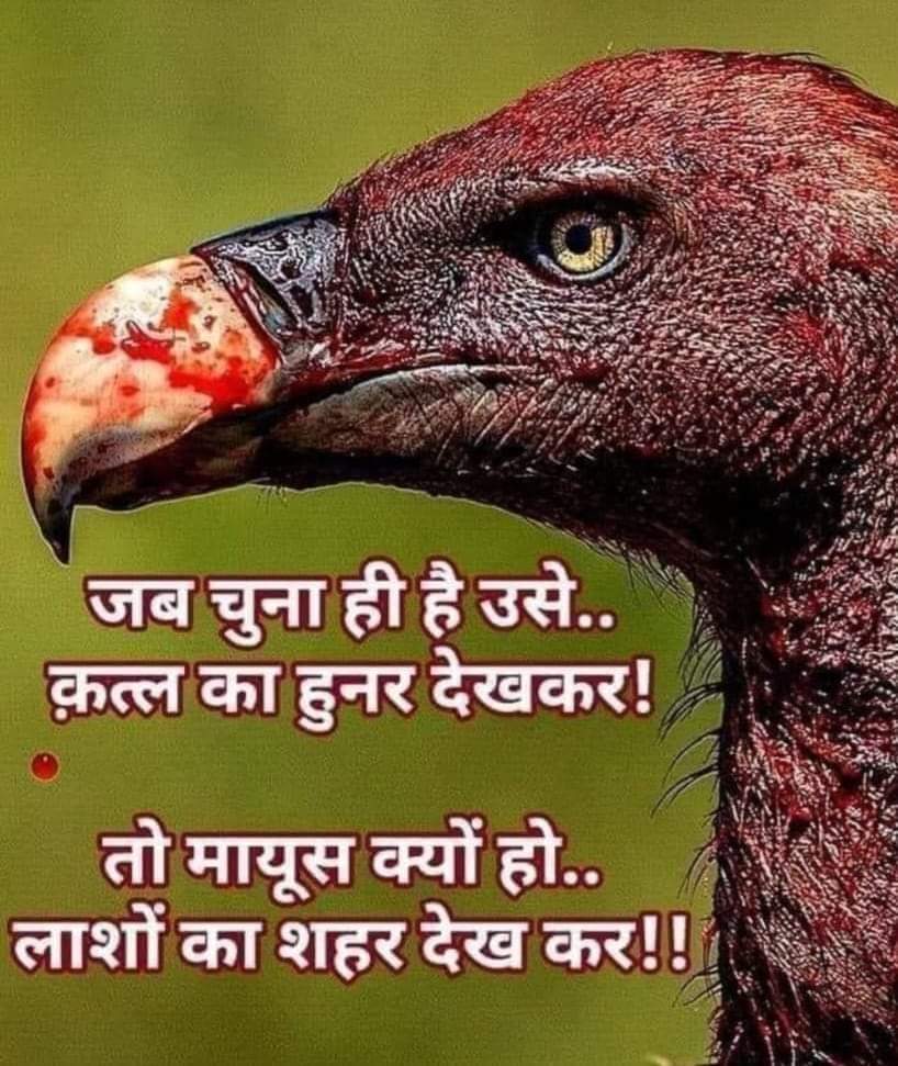 एक बात पूछनी है कि अब लोगों को "जंगलराज"
की अनुभूति क्यों नहीं हो रही है ?
क्या लोग डरते हैं या फिर भेड़ चाल में चलने को मजबूर हैं