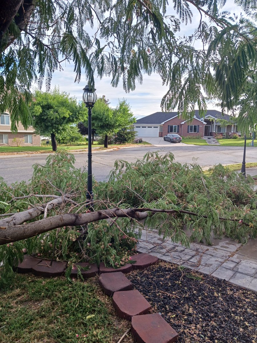 Jamesferrin6's tweet photo. I am living right! Half of my marmosa tree blew down in tonight's storm. Not a scratch on my light post in the middle of it! #utwx #utweather https://t.co/5tDjIMJwAK