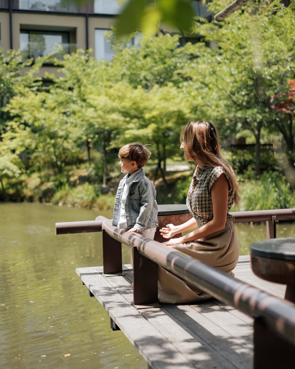 FSKyoto's tweet image. この夏、京都でリゾート気分を味わいながら歴史や文化に触れる心に残るご家族旅行をお楽しみください。

お得な宿泊プランは公式サイトをチェック！bit.ly/47eRxA0