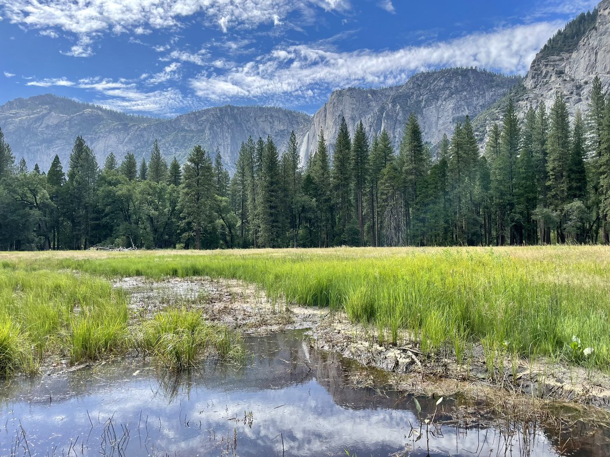 TonyTGoodman's tweet photo. Just returned from a busy California trip… parties with friends &amp; family, swimming in SF Bay, hiking to Yosemite waterfalls, high elevation snowy lake picnic, camping by the ocean, bike ride to see a whale, surfing in Santa Cruz, &amp; visit to Google HQ. Perfect summer trip. https://t.co/UR3HEb3oI6