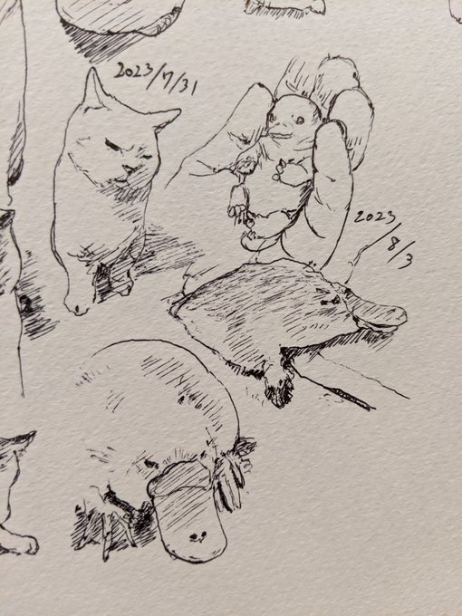 カモノハシ…カキカキ。 