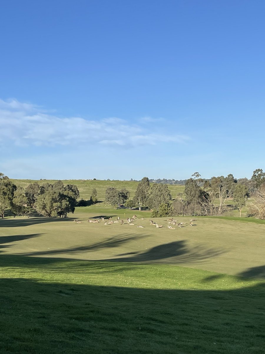ImmunoGroupVic's tweet photo. We’ve arrived!! #IgV2023 has begun! Looking forward to hearing about all the exciting research being done across Vic/Tas! @ASImmunology https://t.co/YMz3008ijz