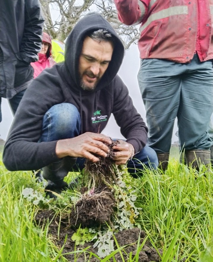 Mick Davis tweet media