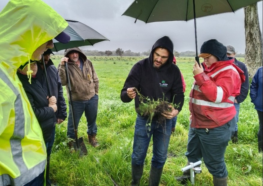 Mick Davis tweet media