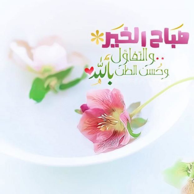 مها المأربية tweet media