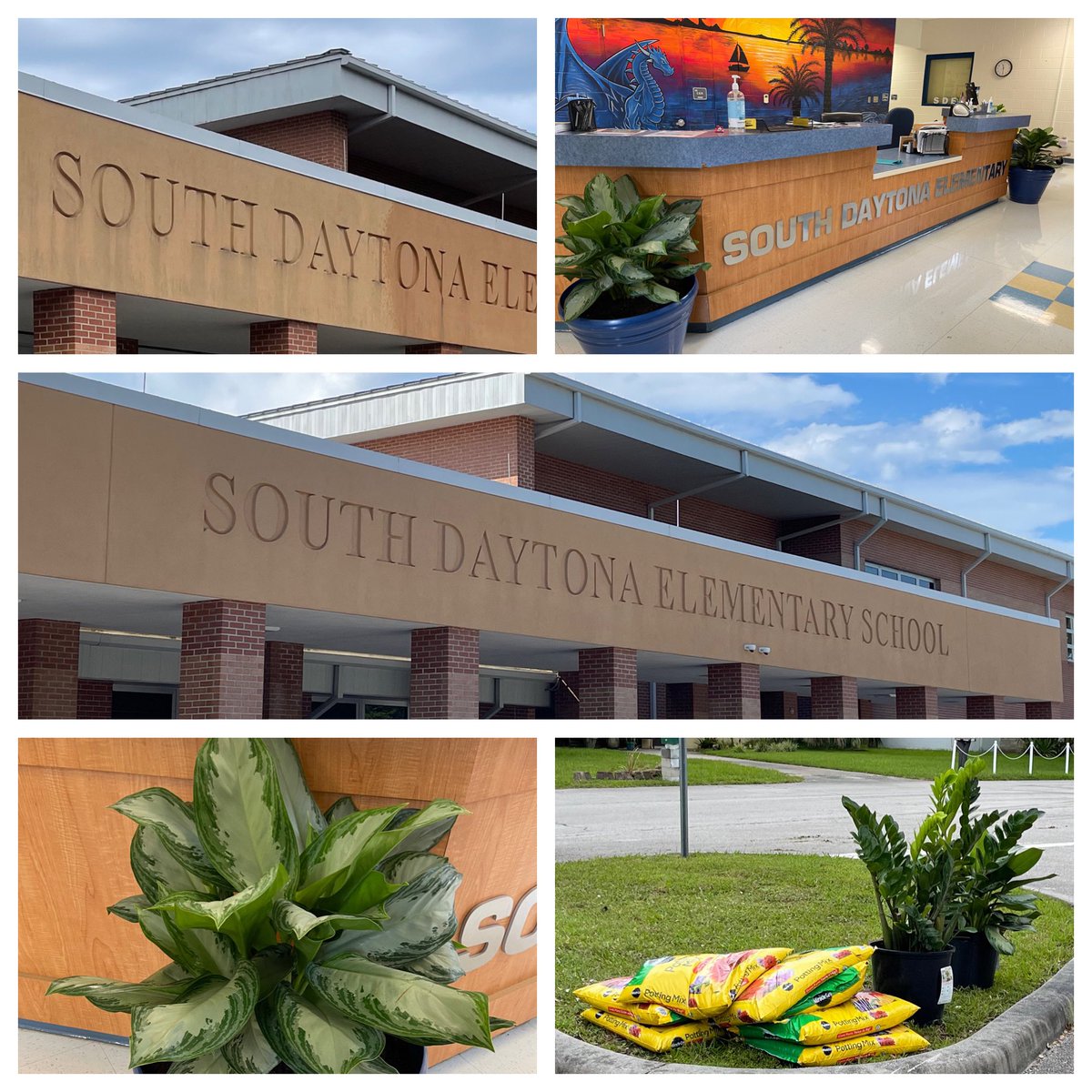 South Daytona Elem tweet media
