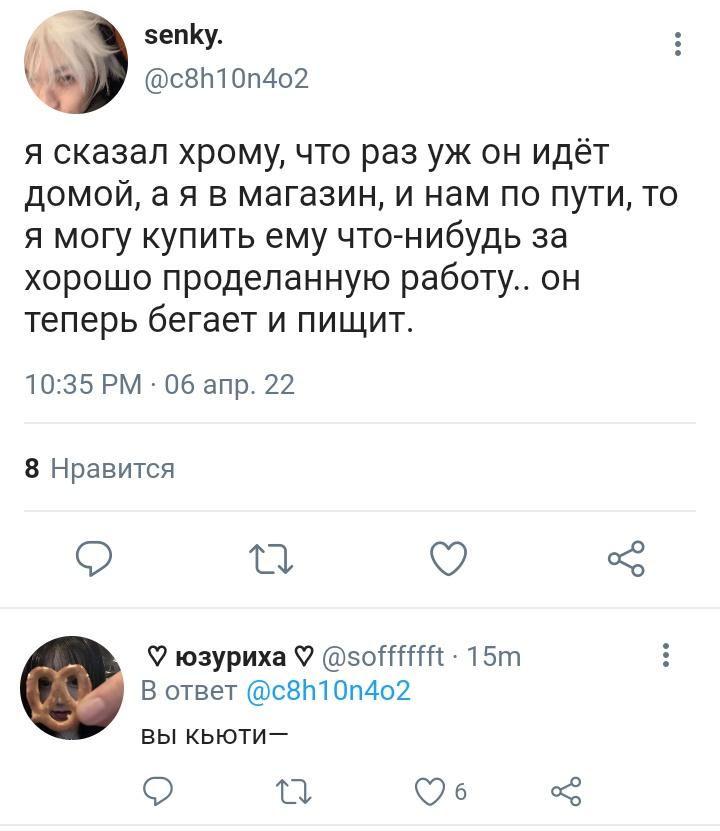 sirupuscerasi's tweet photo. 14. https://t.co/M3UaxGhAg8