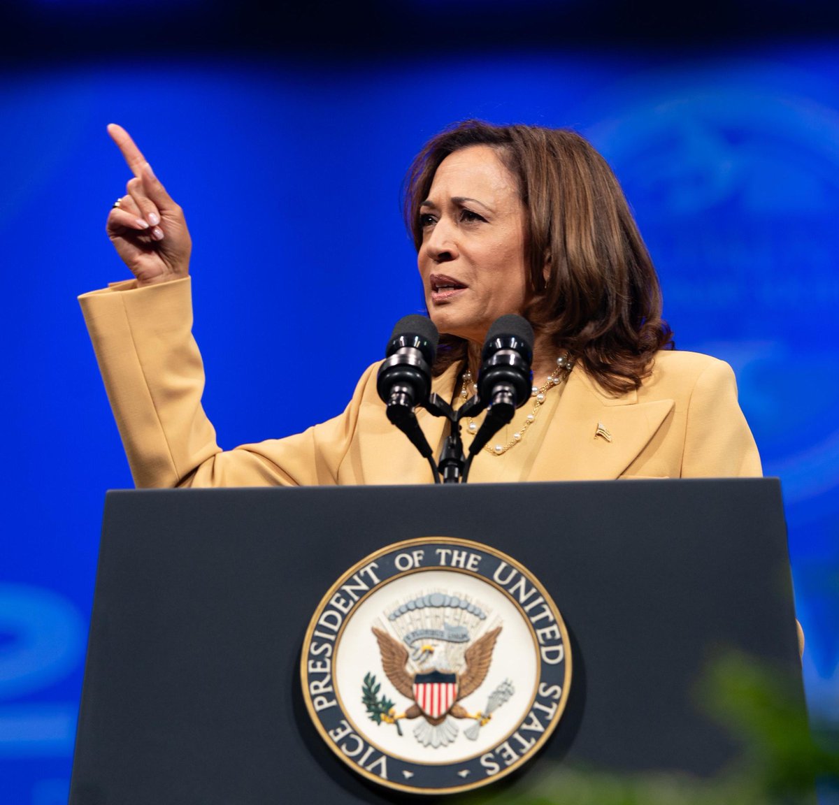 KamalaHarris's tweet photo. Let us fight toward a future where:

Every woman has the freedom to make decisions about her own body
Every voter has the freedom to make their voice heard
Every child can learn our true and full history

Let us fight with optimism, faith, and hope. https://t.co/gQeRSTLS3e