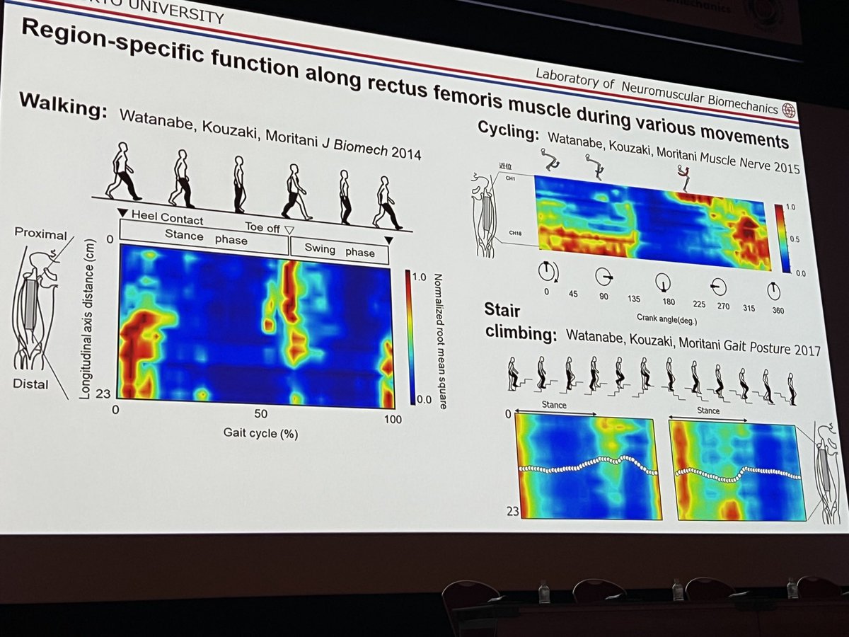 Kohei Watanabe - president JSEK solving problems with high density EMG #ISB #JSB 2023