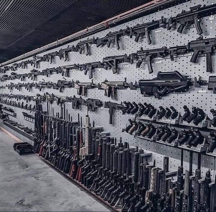 Gun Lover tweet media