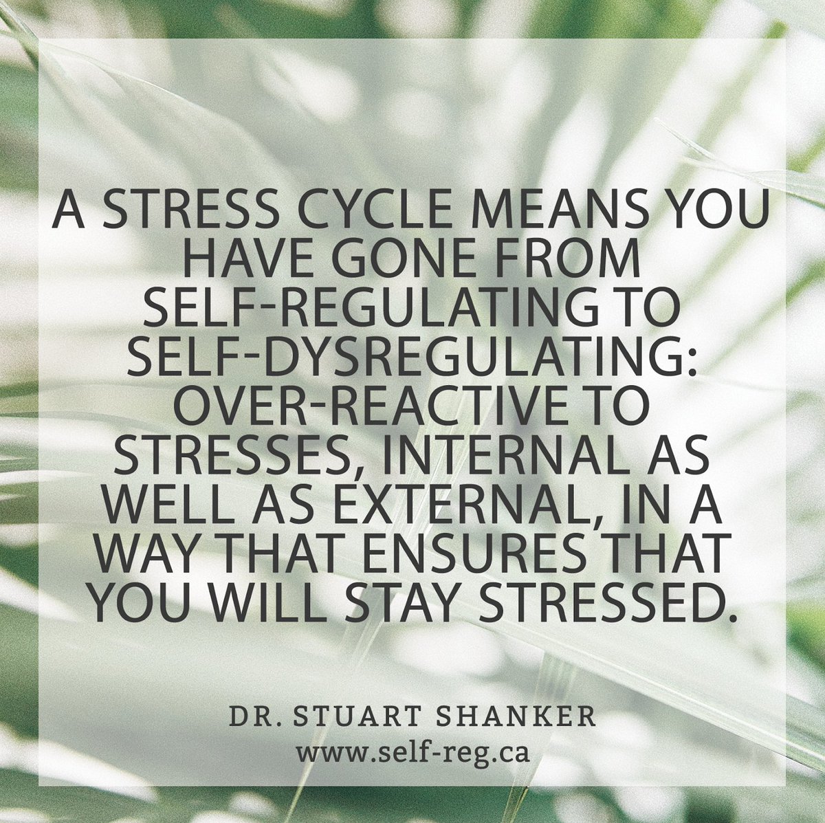 "A stress cycle means you have gone from self-regulating to self-dysregulating: over-reactive to stresses, internal as well as external, in a way that ensures you will stay stressed." ~ Stuart Shanker
self-reg.ca

#ShankerWisdom #SelfReg