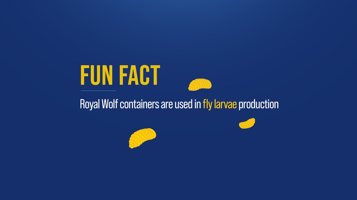 RoyalWolf_AUSNZ's tweet image. If you wanted to grow fly larvae, what would you use? A refrigerated Royal Wolf container? Yep, that works! Find out how here. royalwolf.com.au/making-larvae-…

#RoyalWolf #TechnicalSolutions #FlyFarmQueensland