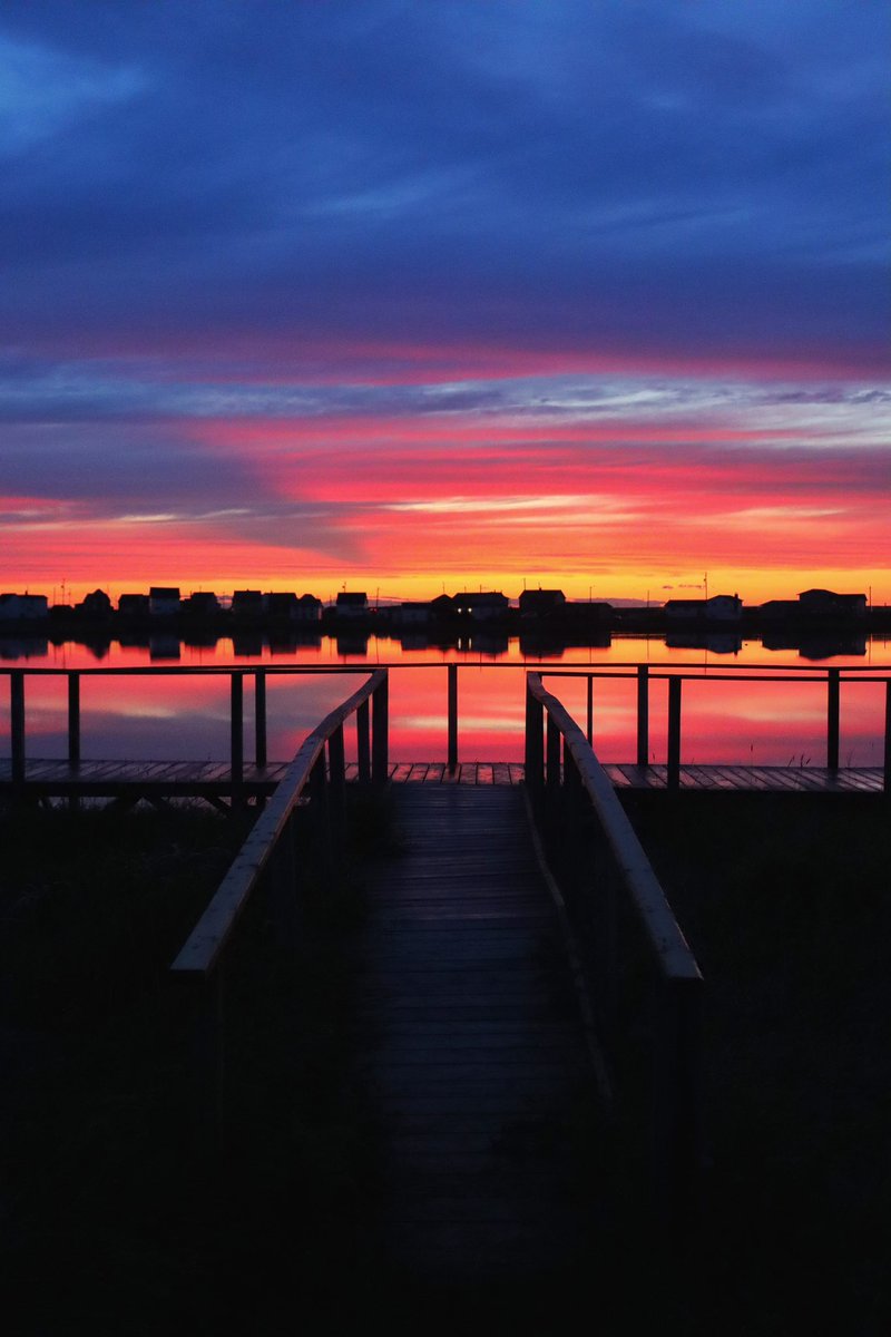 🇨🇦 tweet media