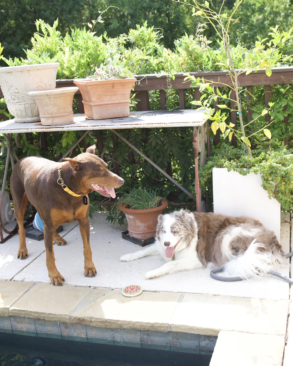 Lauren Roberts tweet media