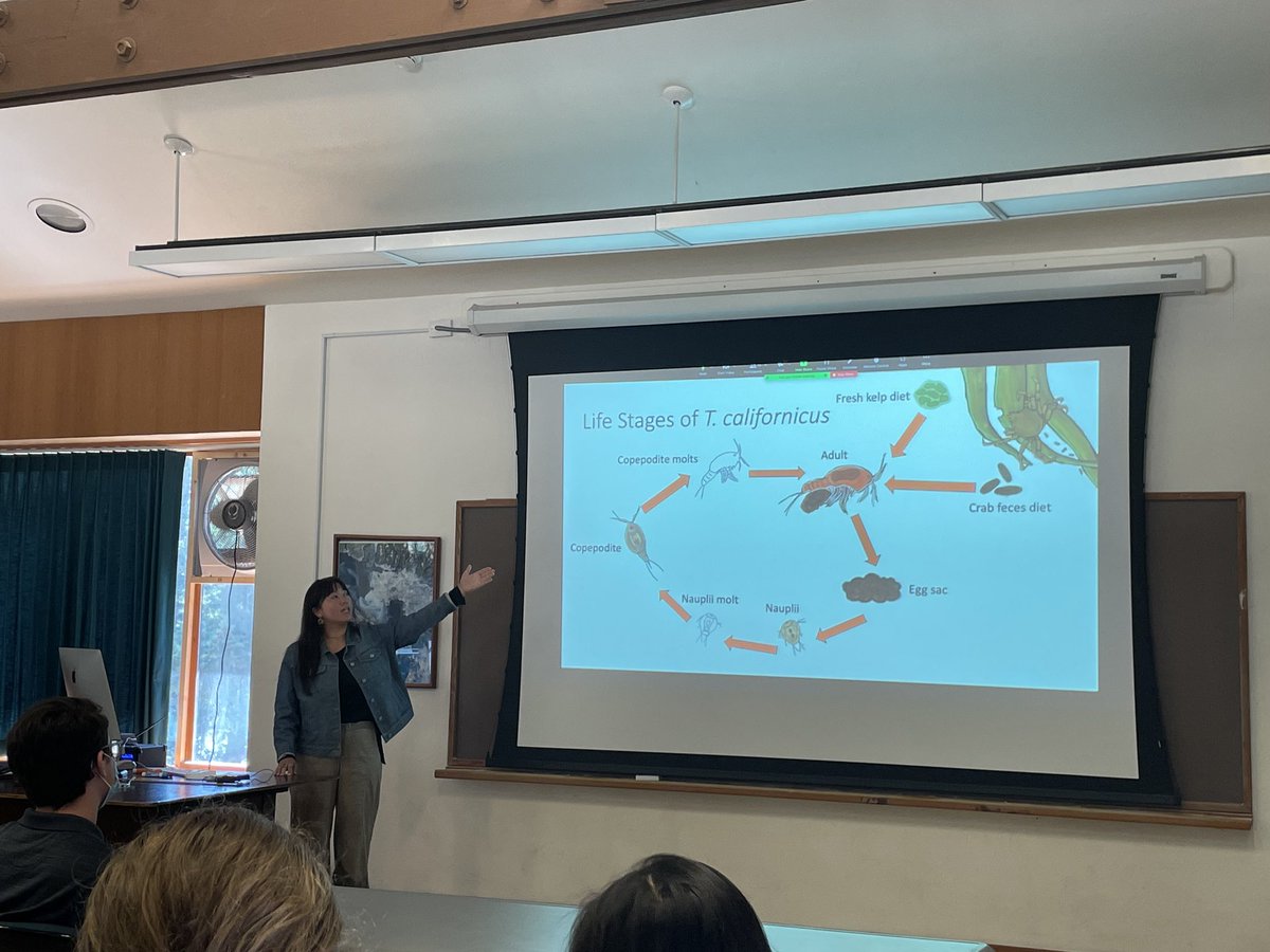 Had an awesome time presenting my summer research at the 2023 REU Symposium @MarineBiol_FHL! Photo creds to the awesome @SaffireSeahorse