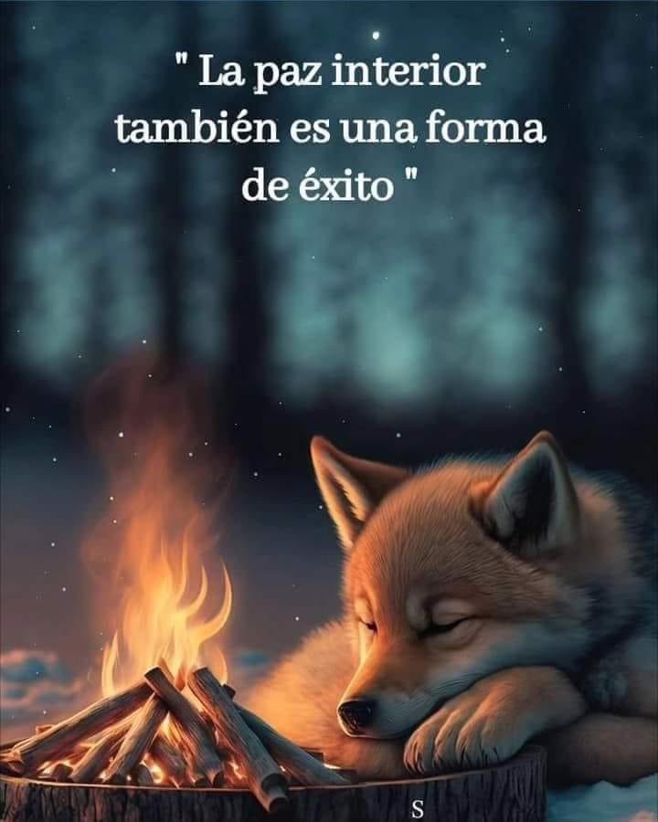 La #PazInterior también es una de forma de #Exito. 

#FelizNocheAmigos. 🌻