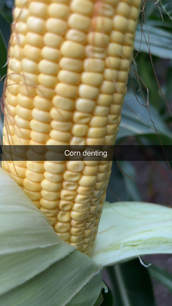 Allen Wiseman tweet media