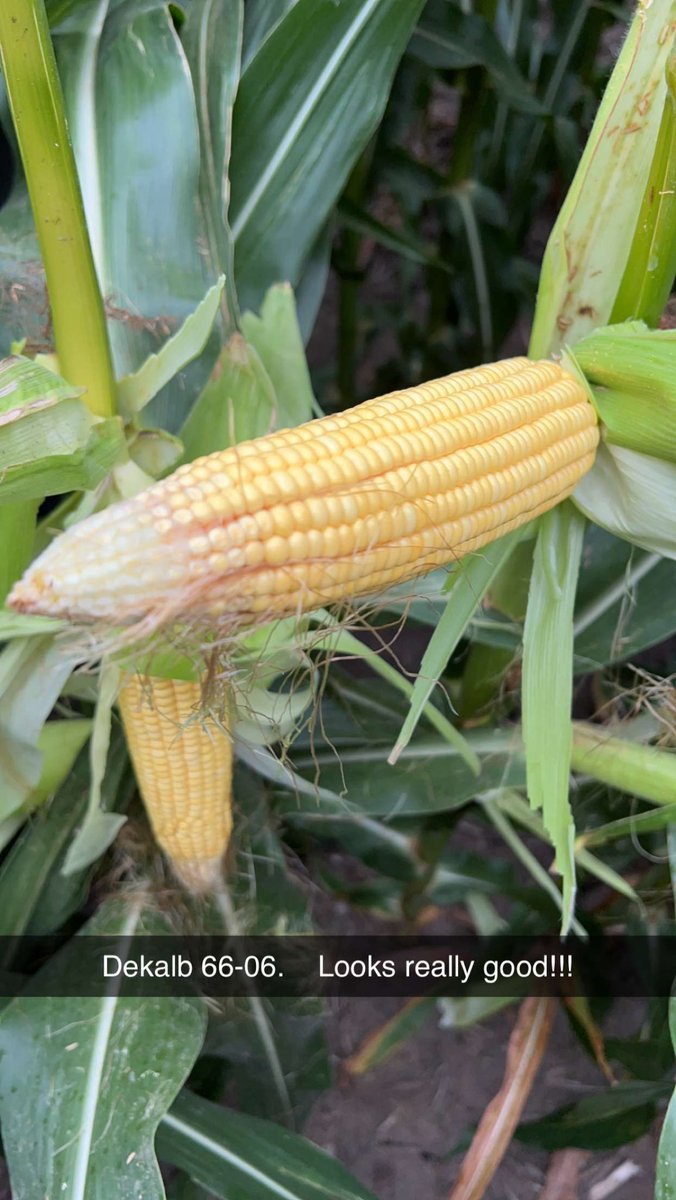 Allen Wiseman tweet media