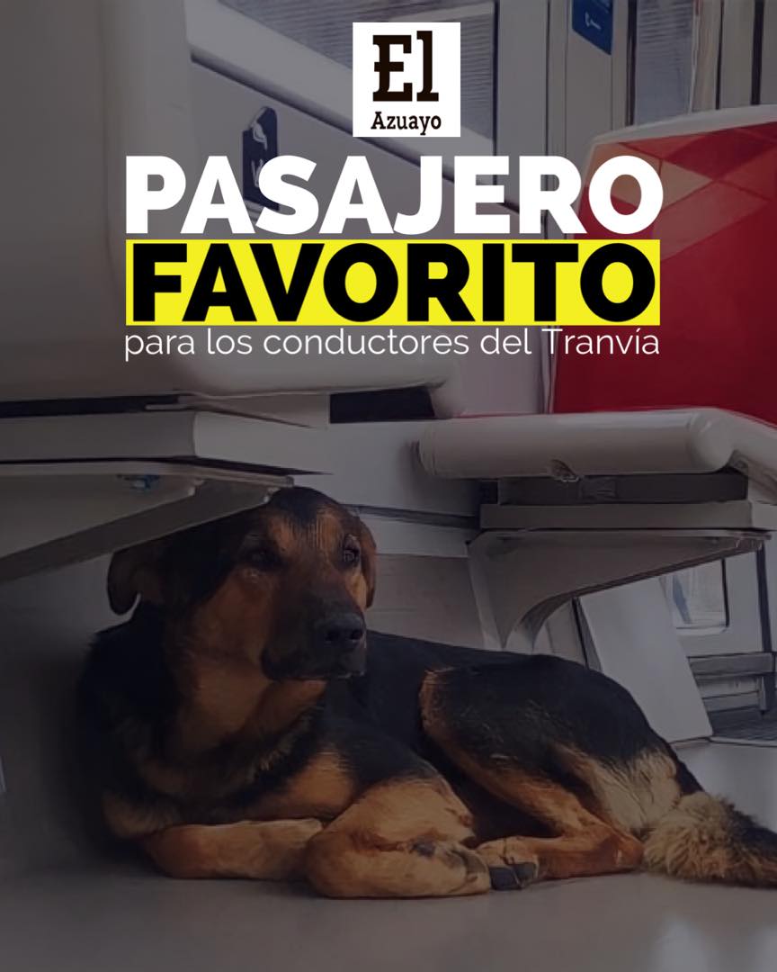 <a href="/ElAzuayo1/">El Azuayo</a> : No saben su nombre algunos le llaman "negro" es el pasajero favorito del <a href="/Tranvia_Cuenca/">Tranvía Cuenca</a>  todos los días va al Centro Histórico, Feria Libre y Parque Industrial. No saben de su dueño, tampoco dónde vive, pero le cuidan para que nadie le haga daño.
📷 <a href="/Rodrigoperiodis/">RodrigoMatuteTorres</a>