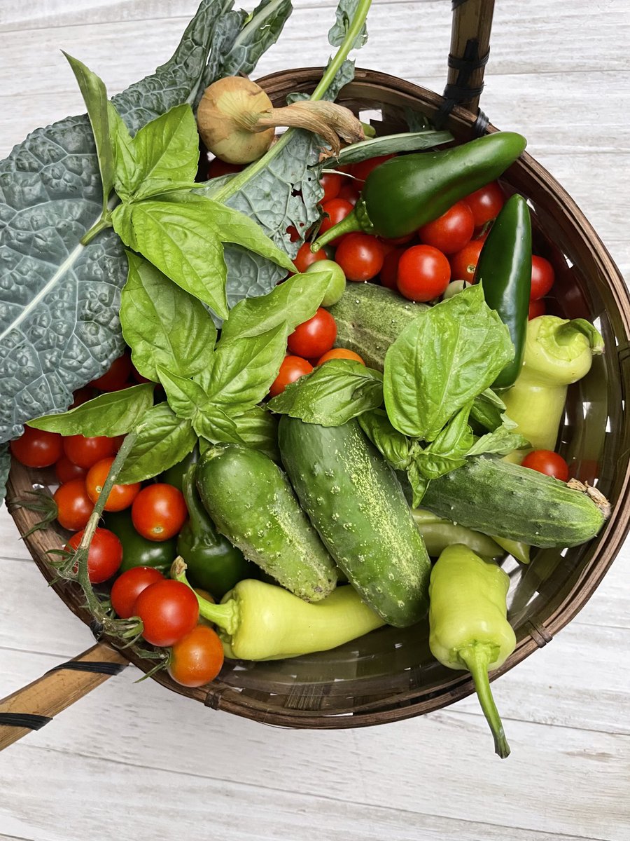 SalisĆisa tweet media