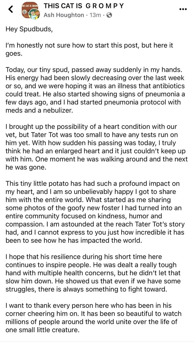 bubblywaffo's tweet photo. Tater Tot died. 

I am so upset. 

Tater Tot touched so many in such a short amount of time. 

#RipTaterTot #Bonkers #Stompers https://t.co/gBFZXKzYSQ