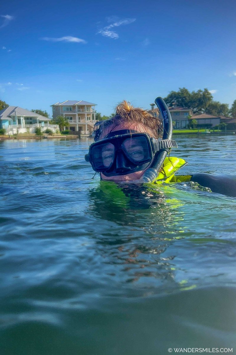 wandersmiles's tweet photo. 🇺🇸 Swimming with the manatees in #CrystalRiverFL was a 'pinch myself' moment. A close encounter with these gentle giants is truly humbling! 
🇺🇸 Have you snorkeled with manatees?

Thanks to Crystal River Watersports for the best day! 
ad/ @DiscoverCR_FL #DiscoverCR #VisitFlorida https://t.co/CACvcg6eRG