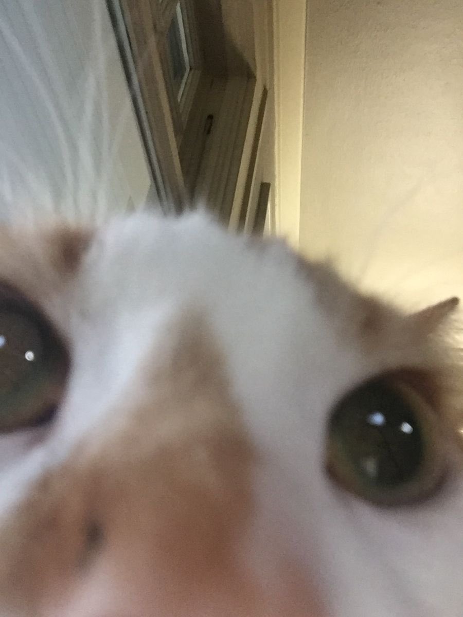 ᅠᅠ ᅠᅠ ᅠᅠ ᅠᅠᅠ ᅠᅠ ᅠᅠ ᅠᅠ ᅠᅠᅠ𝓺𝘶𝘪𝘯𝘯 .ᐟ (@ofherfreespirit) on Twitter photo 