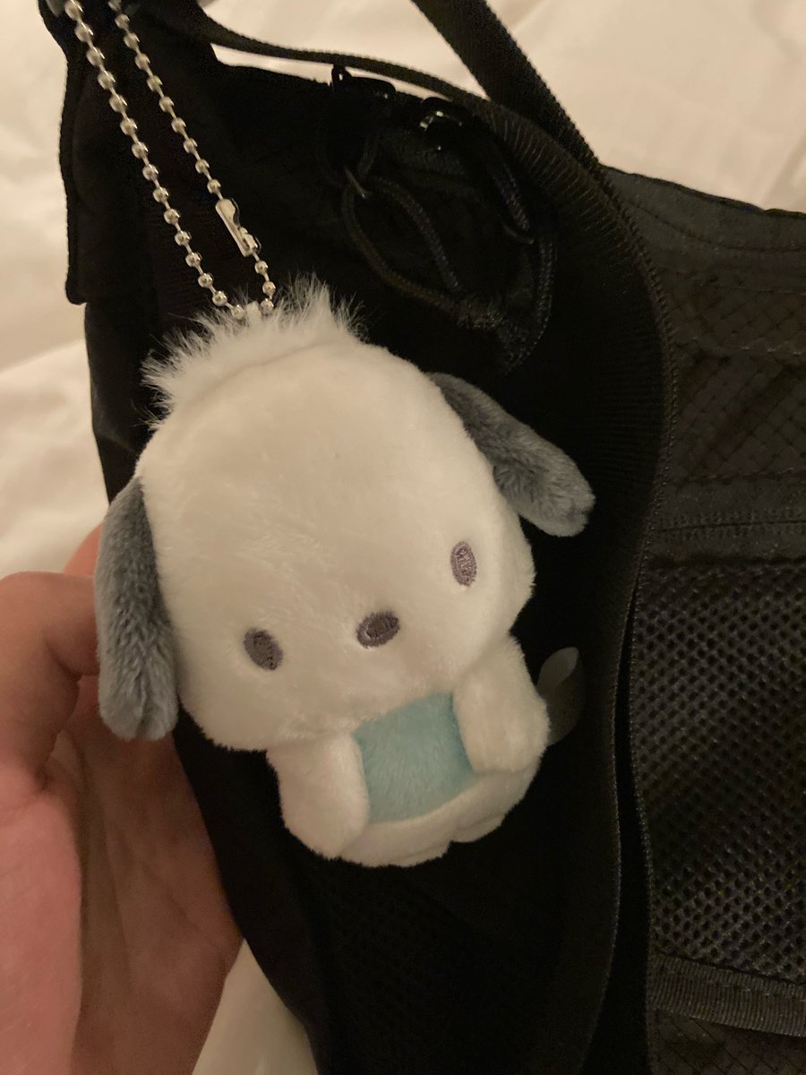 SEUNGM1NE's tweet photo. kim seungmin core ….he knows he is pochacco 🥹 https://t.co/Pm0GHzkYwZ