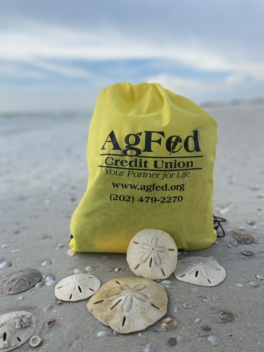 Ag_Fed's tweet photo. Sand dollars just not cutting it? We’ve got you covered! 

With great service, better rates on loans, and competitive dividend rates, AgFed is here for you!

What would you do with some extra dollars?

#agfedcreditunion #cudifference #yourpartnerforlife https://t.co/0BEqq1AHzw