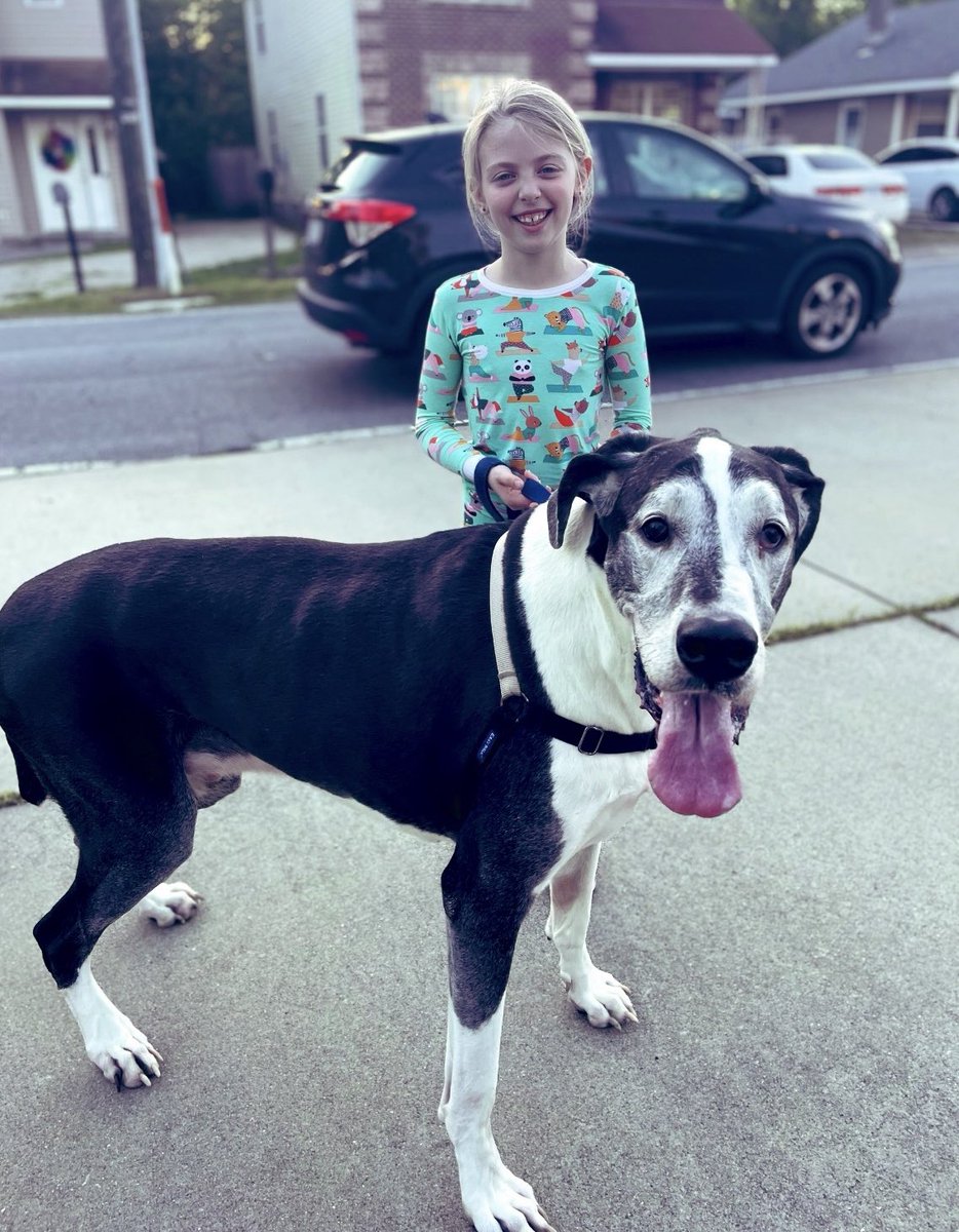 _MomToAPrincess's tweet photo. Tasty treats for this guy because he turned TEN today 🥹💙🐶 https://t.co/eePwIqEvB8