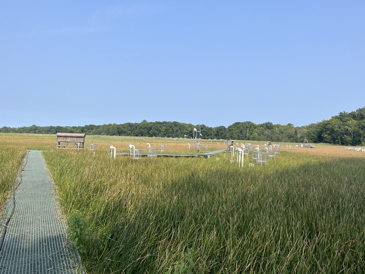 NERRdyDerby's tweet image. Until next time. #serc #gcrew #census